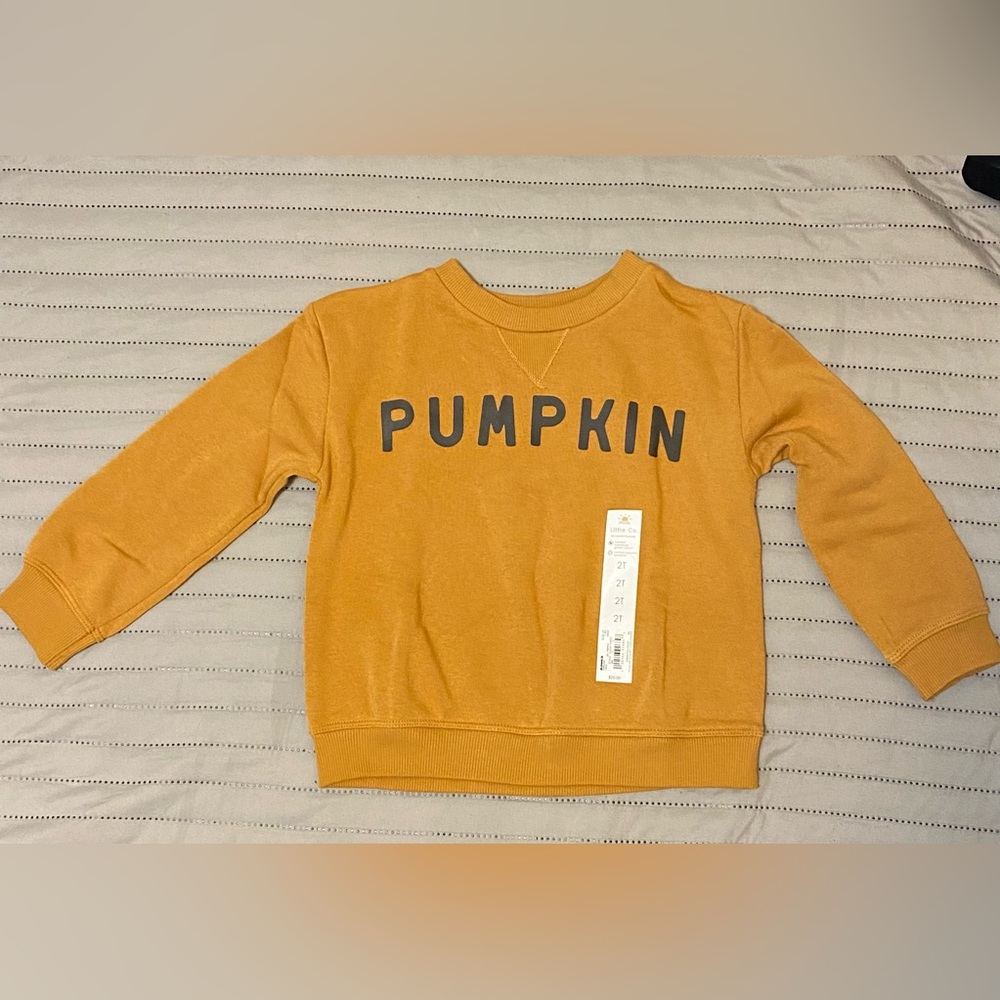 Little Co Pumpkin sweatshirt